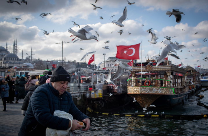 epa07269450 A man feeds seagull with a backdrop of Turkish flag at Eminonu district in Istanbul, Turkey, 08 January 2019.  EPA/SEDAT SUNA